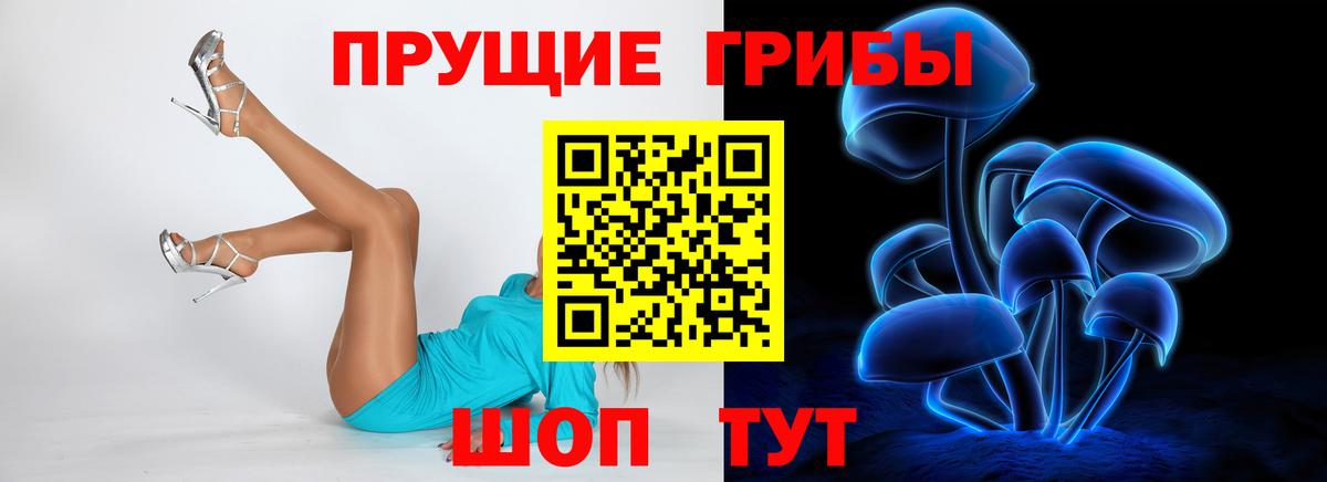 Псилоцибиновые грибы Cubensis Пенза